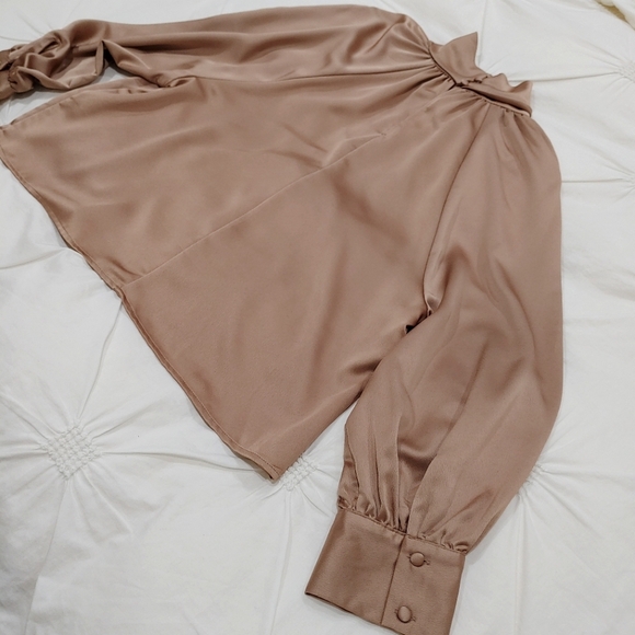 Zara satin champagne bronze long sleeve blouse with buttons. Size S - Picture 9 of 11